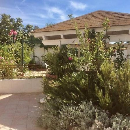 Superbe Appartement En Residence Avec Patio Villeneuve-lès-Maguelone Zewnętrze zdjęcie